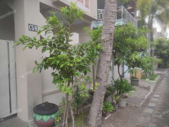 Kost Surya Milenia Tipe A Kaliwates Jember