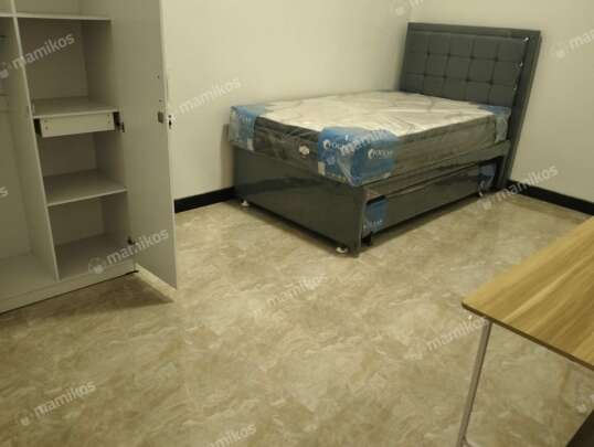 Kost Pana Tipe Executive Tanjung Senang Bandar Lampung