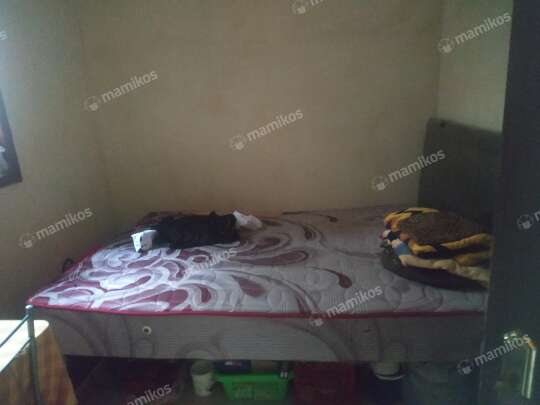 Rumah Kontrakan Perumahan Bumi Mutiara Raya Lamongan Lamongan