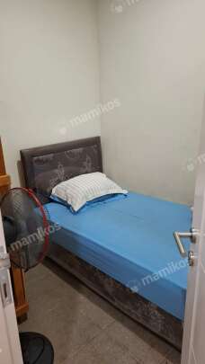 Kost Premium Little Holland Huis Small Purwakarta Cilegon